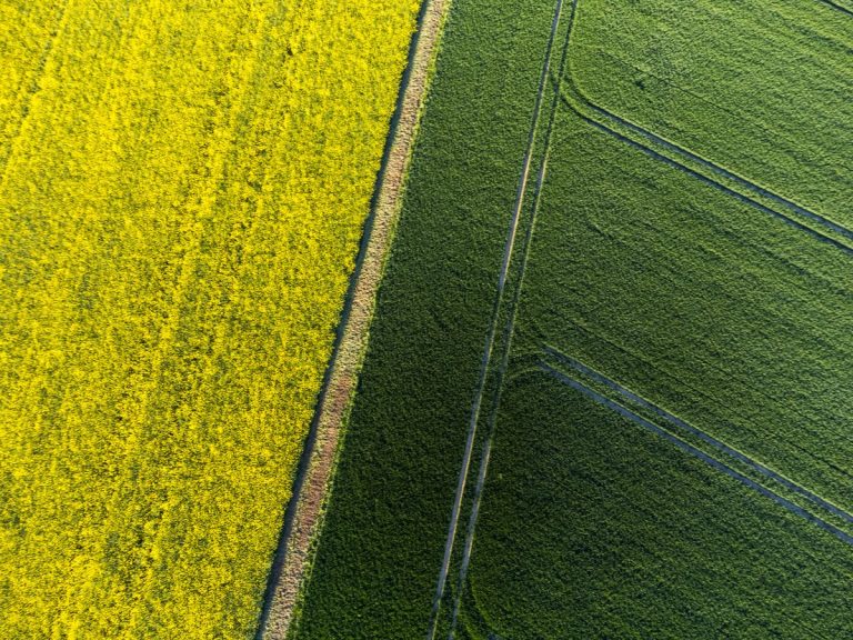 Aerial view of vibrant crop fields showing crop rotation patterns