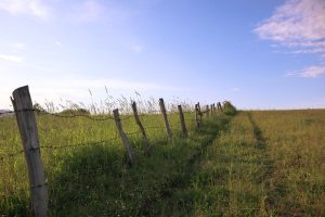 Livestock fence line stretching across a countryside farm field