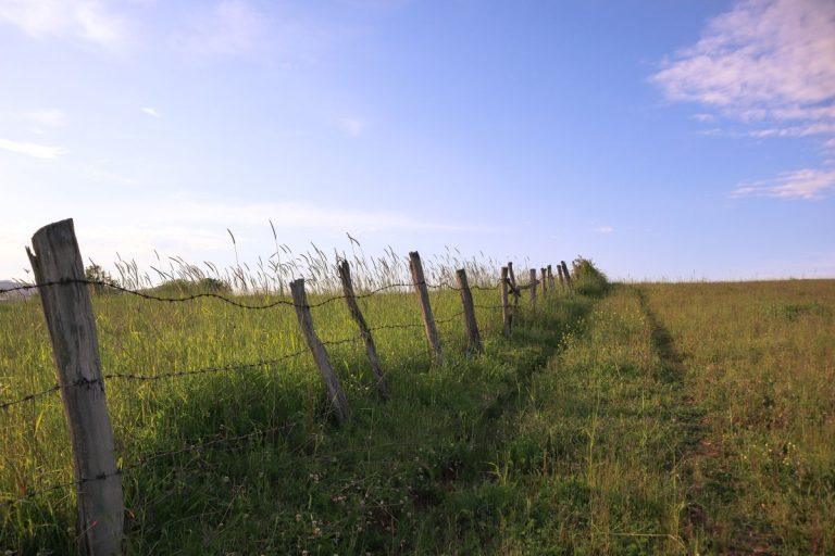 Livestock fence line stretching across a countryside farm field